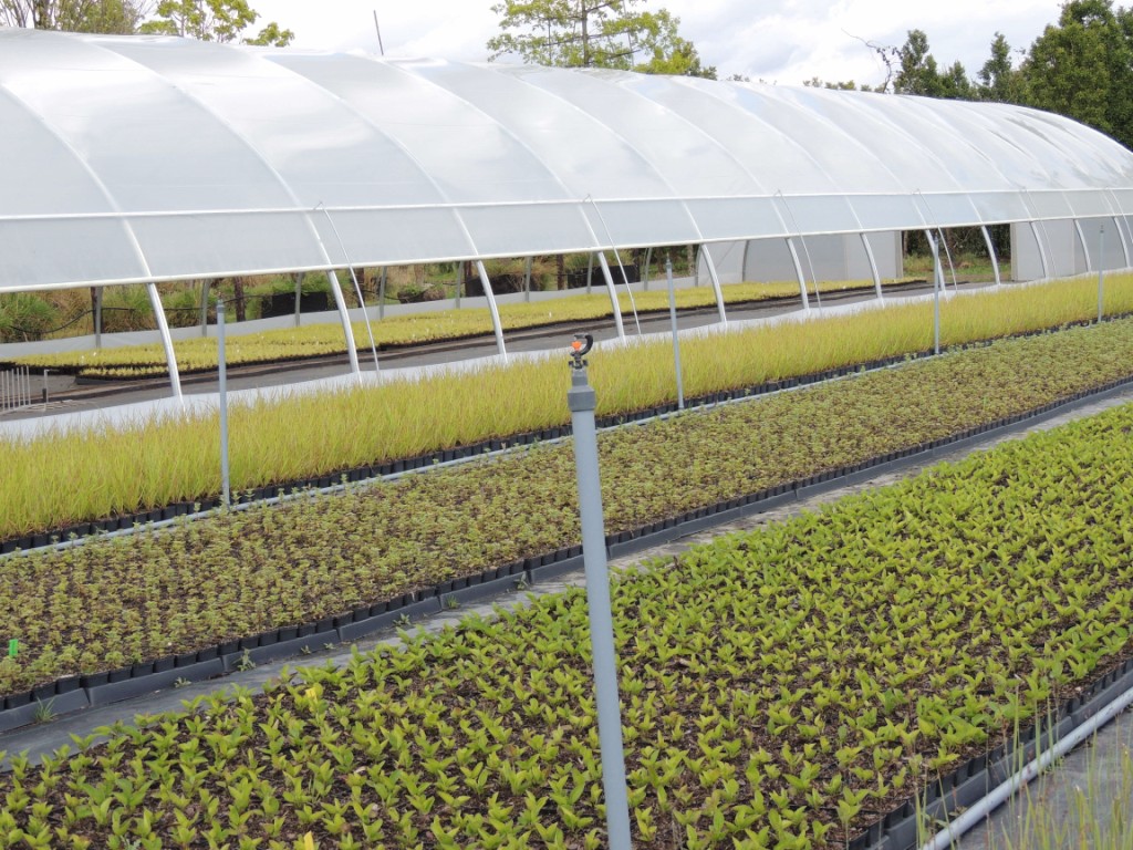 Tuinclub velt jabbeke