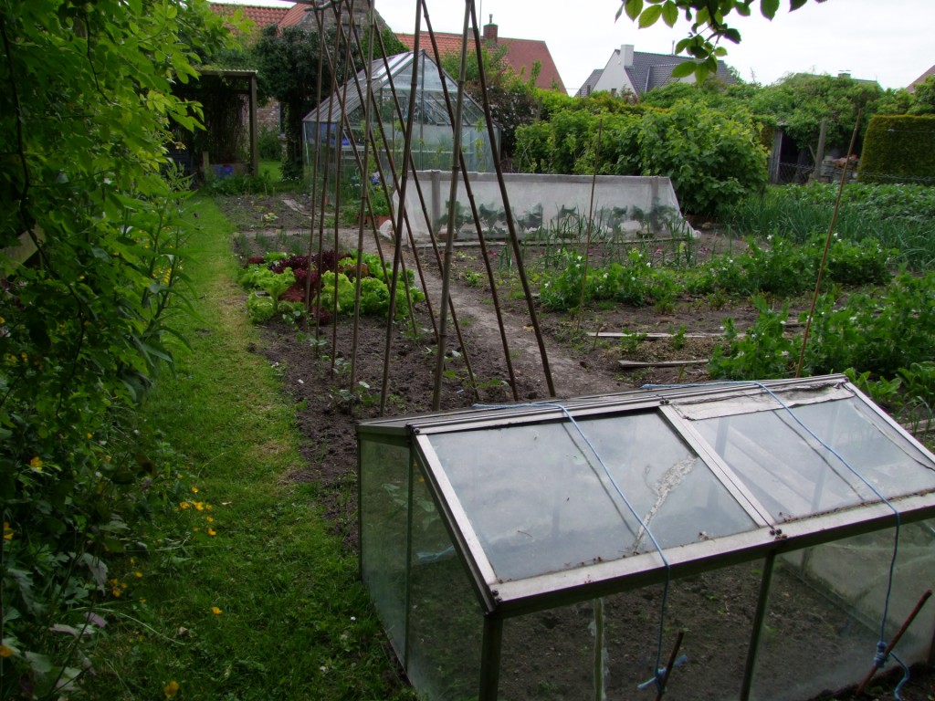 Tuinclub velt jabbeke 2
