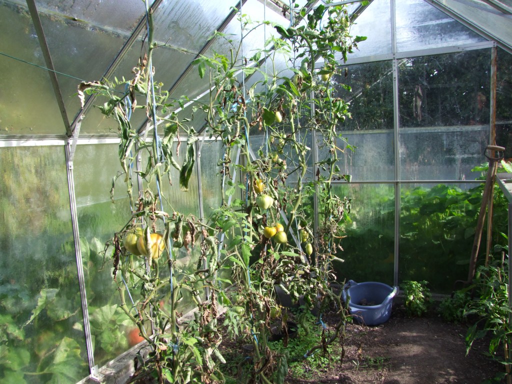 Tuinclub velt jabbeke 2
