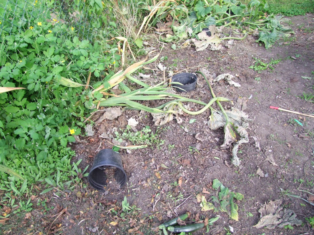 Tuinclub velt jabbeke 2