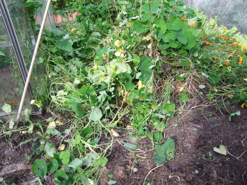 Tuinclub velt jabbeke 2