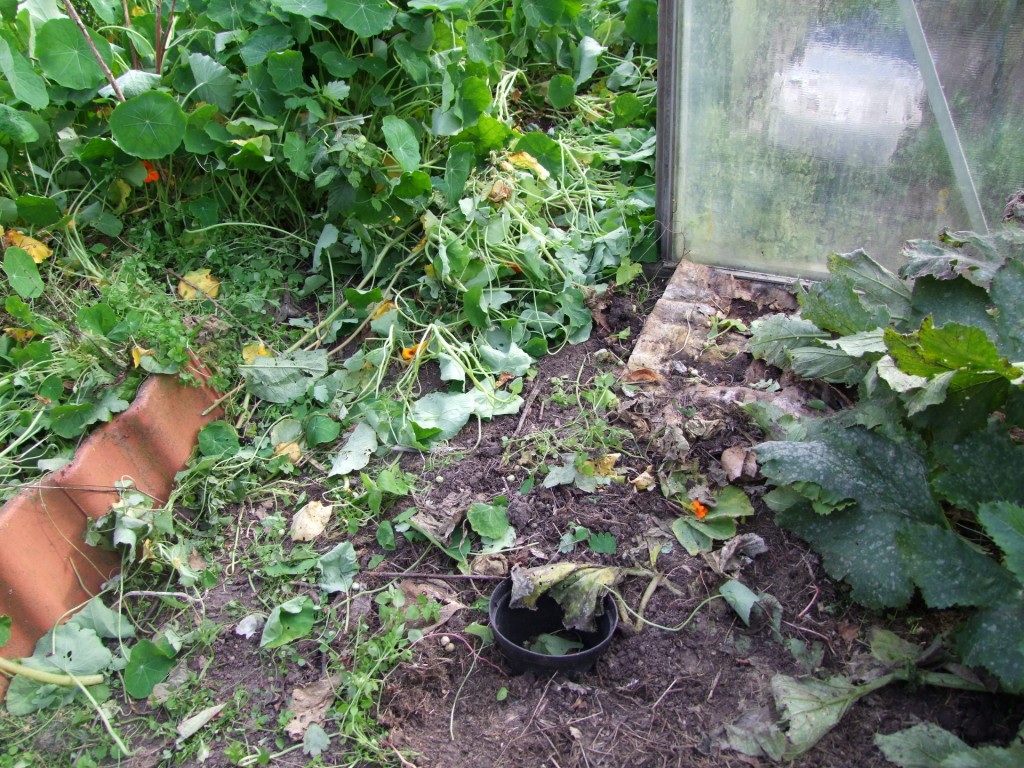 Tuinclub velt jabbeke 2