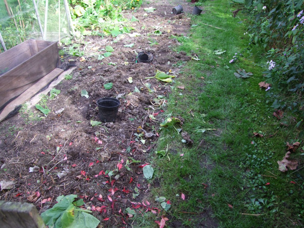 Tuinclub velt jabbeke 2