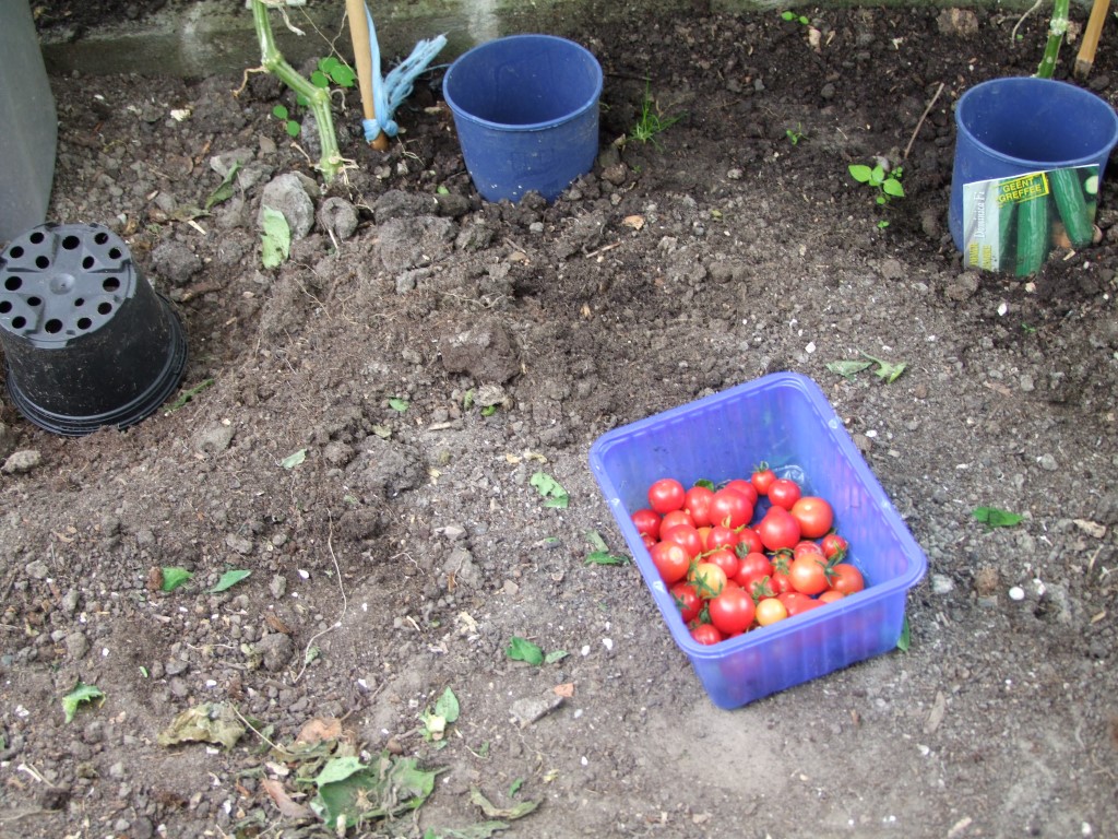 Tuinclub velt jabbeke 2