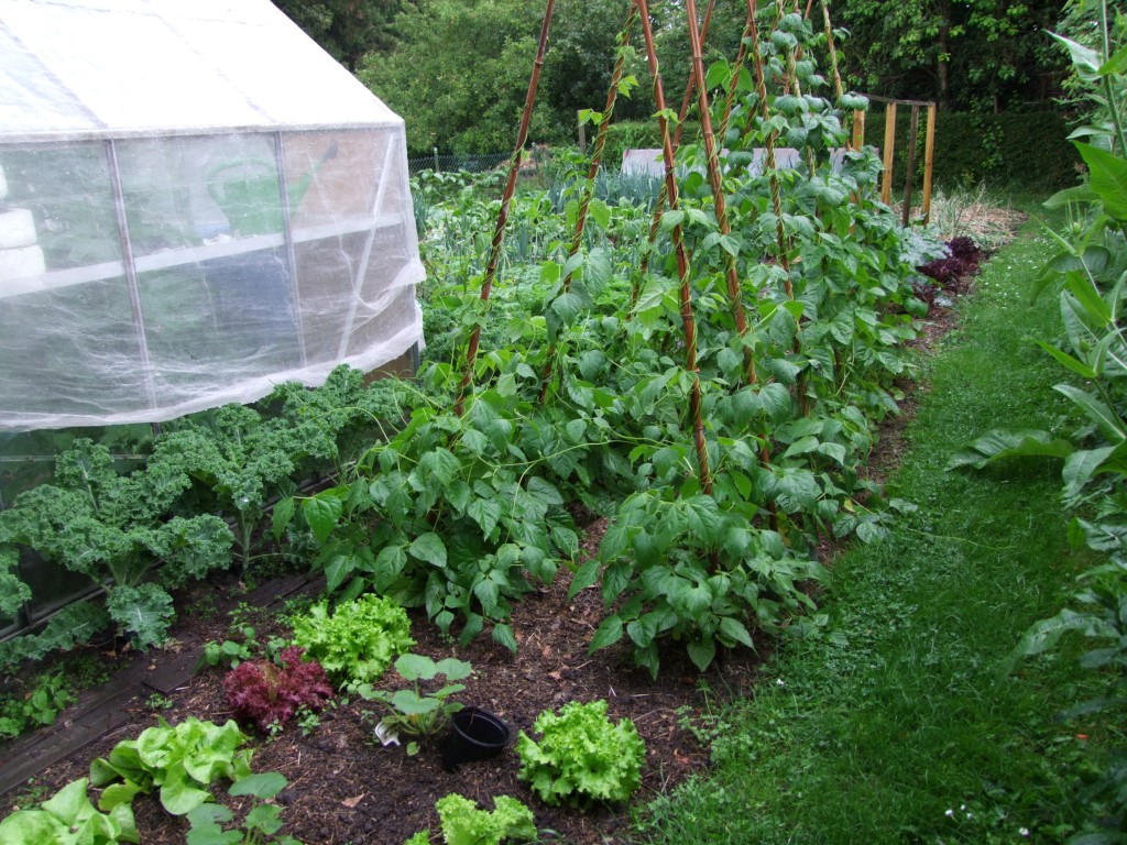 Tuinclub velt jabbeke 2