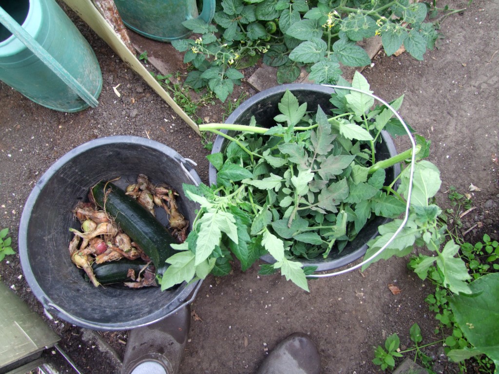 Tuinclub velt jabbeke 2