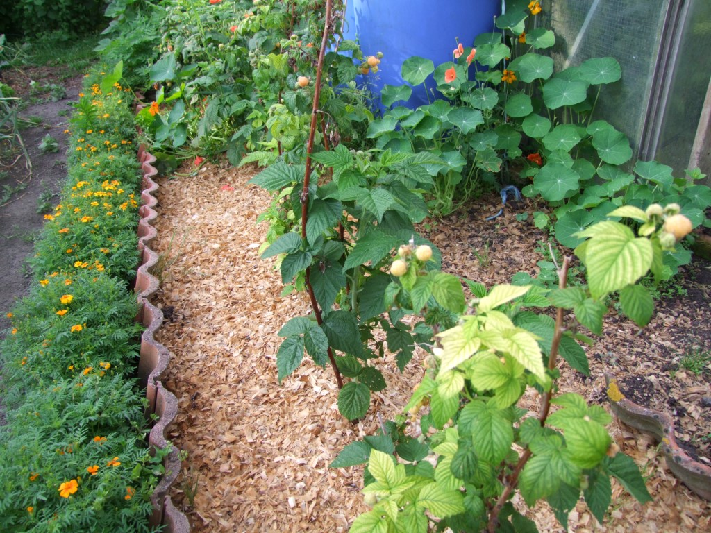 Tuinclub velt jabbeke 2