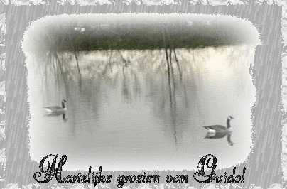 68774.gif