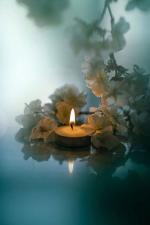 Klik op de afbeelding om de link te volgen