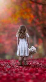 Klik op de afbeelding om de link te volgen