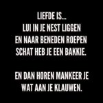 Liefde is