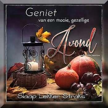 Foto van steffie2