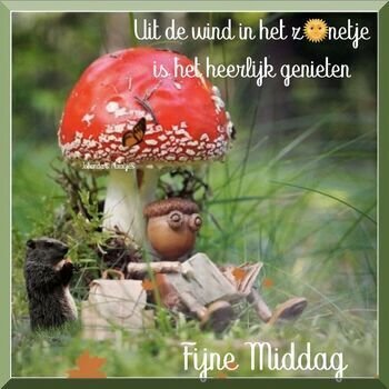 Foto van steffie