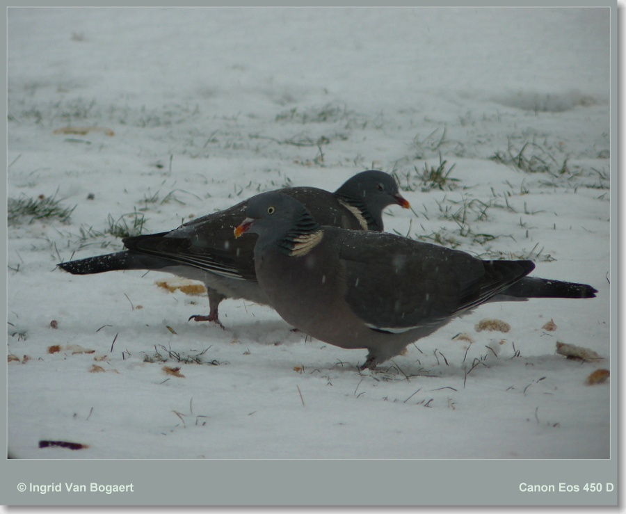 543714-d9576df24ba0f05695838c663befe3eb.jpg