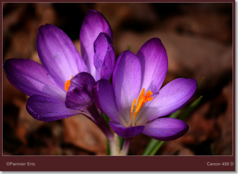 600040-3ffe76a47f893fb9373a05b47fbff159.jpg