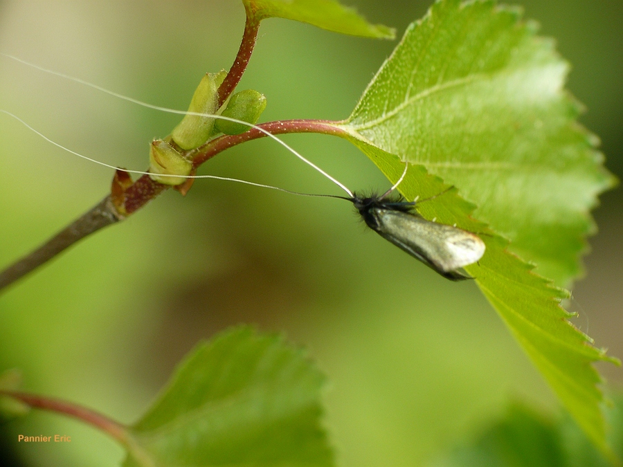 896500-3a062d2f5970c71e99def517a46b9dbf.jpg