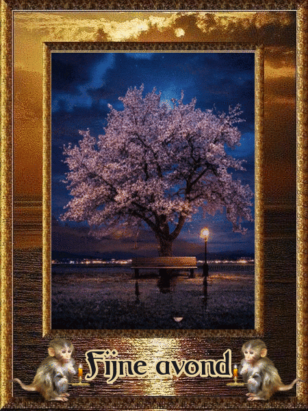2702425-f3eaf153a6137f57cbe42bea4cc5bb19.gif