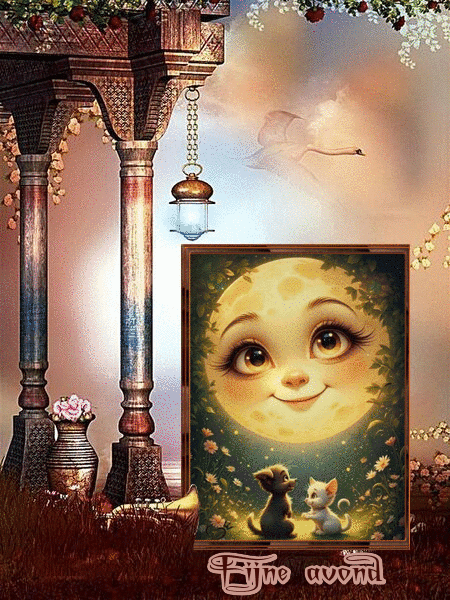 2706012-d060ff9f68fcfc3ca20d2dee9291274f.gif