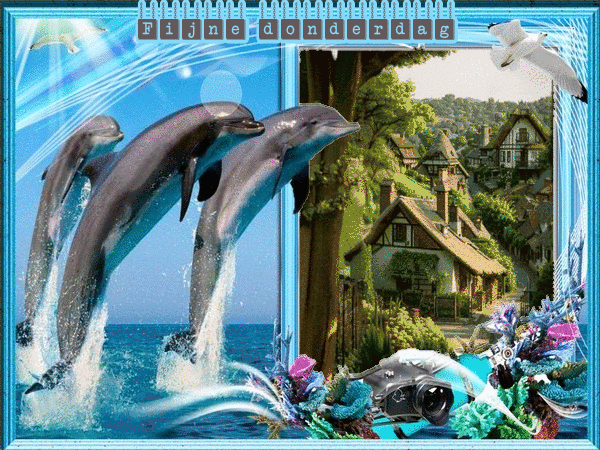 2717843-36f05250ca51fd520c45a945895b0e87.gif