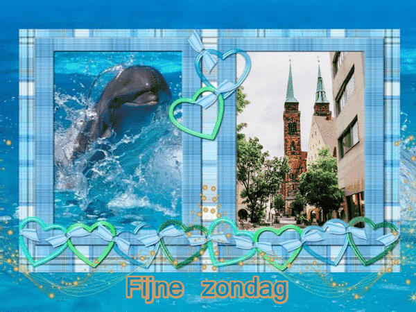 2717848-6704654573e9d426bca5e0db34ce36a2.gif