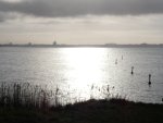 Natuur