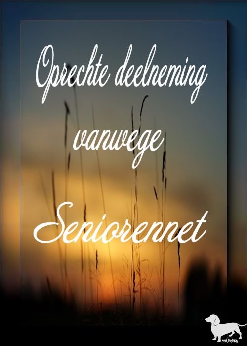 Foto van redpoppy