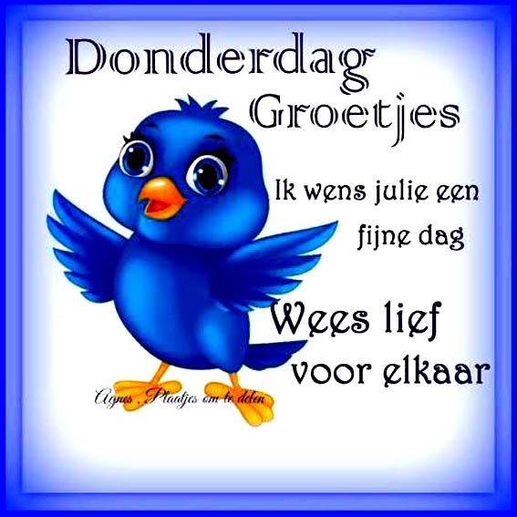 Foto van Henk Anneke