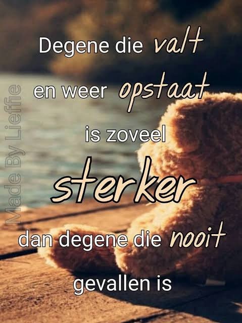 2720288-bb5e3d3cff477ef0ac3e8bedf2b68f58.jpg
