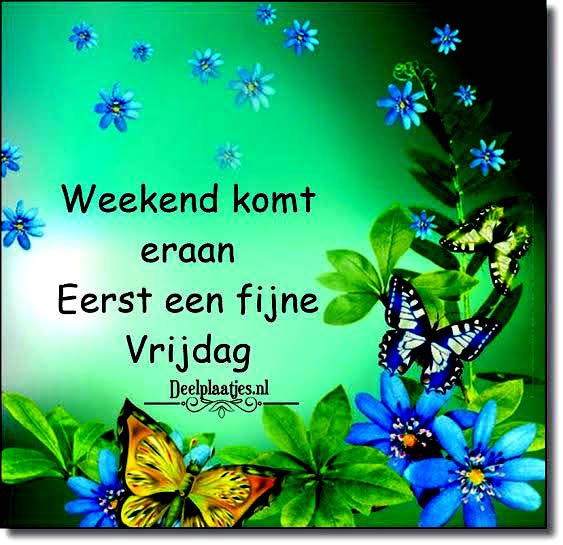 Foto van henk anneke