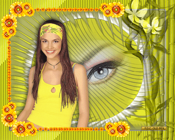 1440267-d43ff9be0ee913dd0dfc68c0141dd8ec.gif