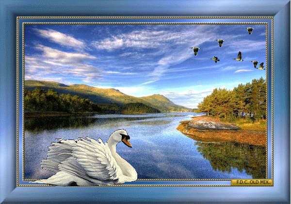 1450462-7d48029511ccf5cfad2a17c66c3e8d64.gif