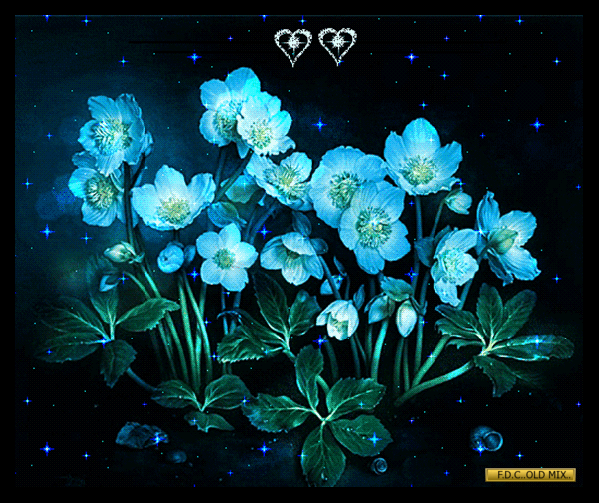 1450481-5425e7f04ab49d6b3ee4bbcd361fe6a7.gif