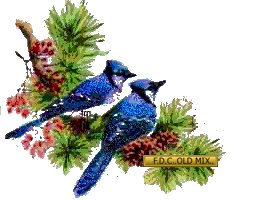 1464483-6bfa4c054605ae08cd4c71ef5add4f50.gif