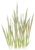1467748-4e2059fa3eb7cb470b1eb79d841d508b.png