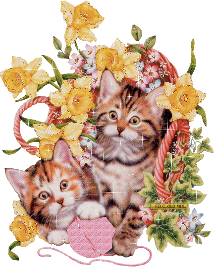 1481718-73a1fac2239a4d32efc4d95ca3260dbf.gif