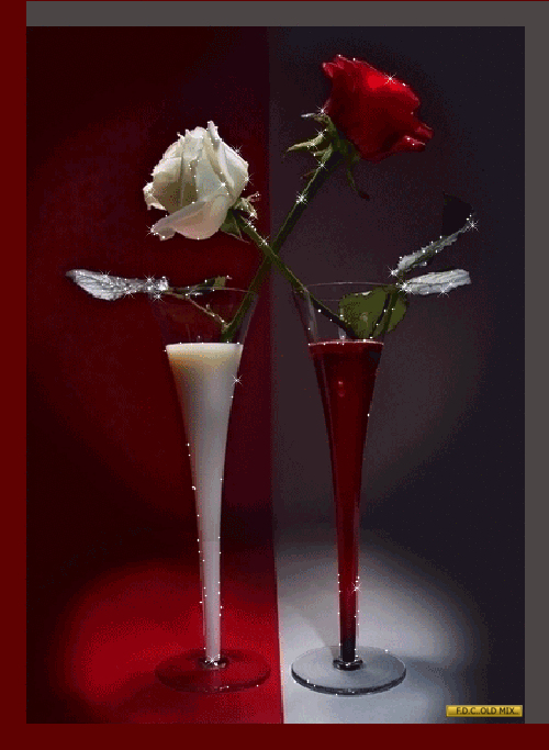 1492854-db5a792eb3ba741d1d1ca5a7c08f6d1b.gif
