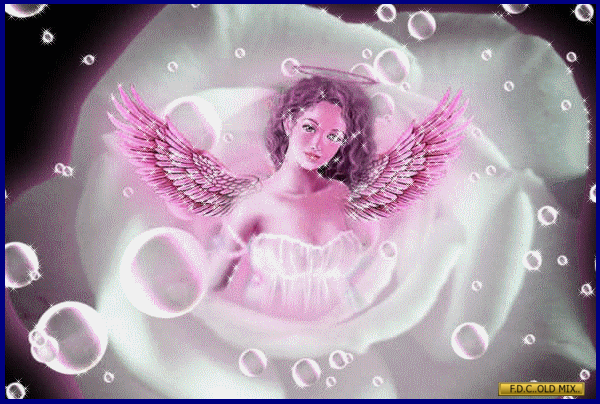 1504620-6e6a3e0883608a6aeb3df81ef6ed9992.gif