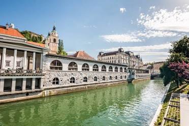 15 Beautiful Ljubljana Central Market Photos - Travel Slovenia