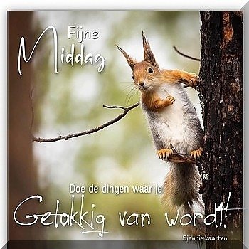 Foto van steffie
