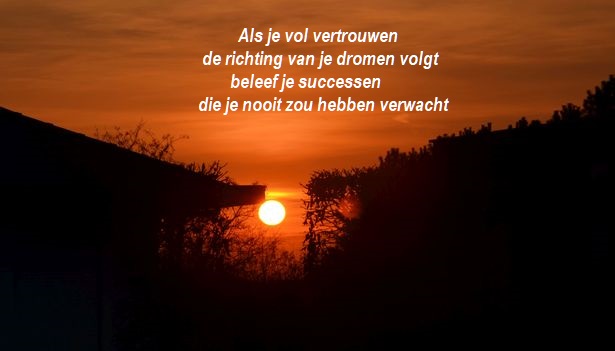 2645344-e5756dc9fc5d373d7b8a33bd77f5bf10.jpg